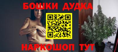 МДПВ Пушкино