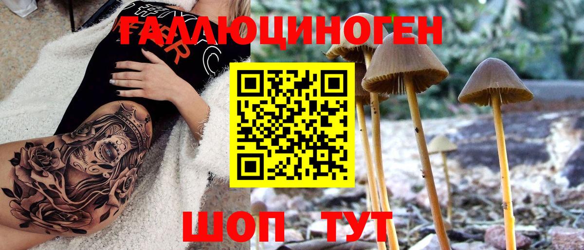 Псилоцибиновые грибы Psilocybine cubensis  Вход с VPN  Галлюциногенные грибы ЛСД  Ростов Великий 